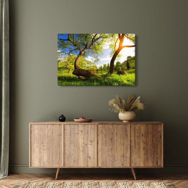 Slika proljetne livade (90x60 cm)