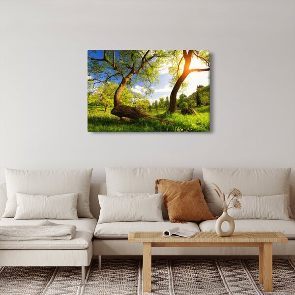 Slika proljetne livade (90x60 cm)