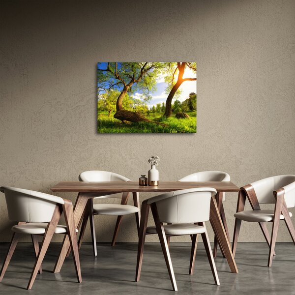 Slika proljetne livade (70x50 cm)