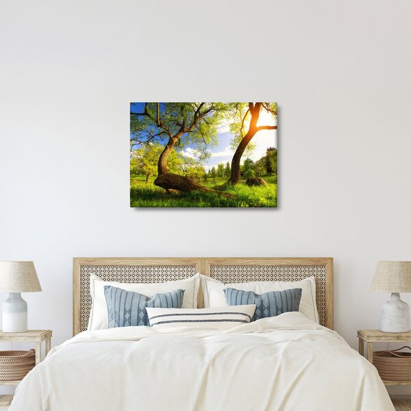 Slika proljetne livade (70x50 cm)