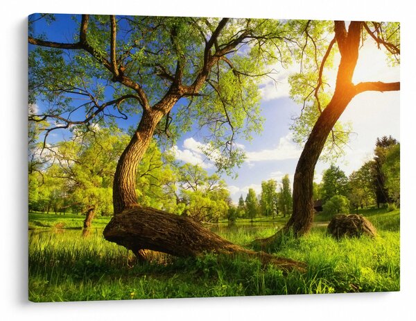 Slika proljetne livade (70x50 cm)