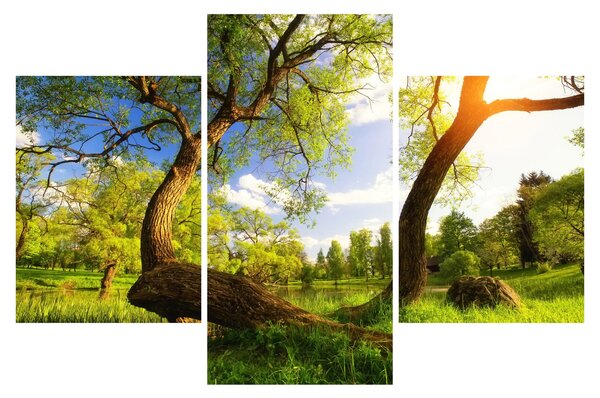 Slika proljetne livade (90x60 cm)