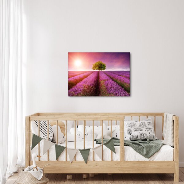 Slika polja s lavandom (70x50 cm)