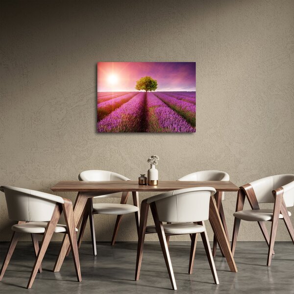 Slika polja s lavandom (70x50 cm)