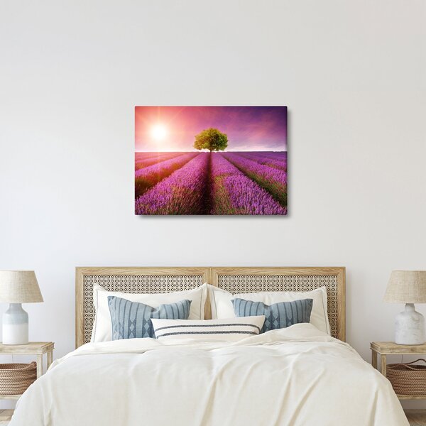 Slika polja s lavandom (70x50 cm)