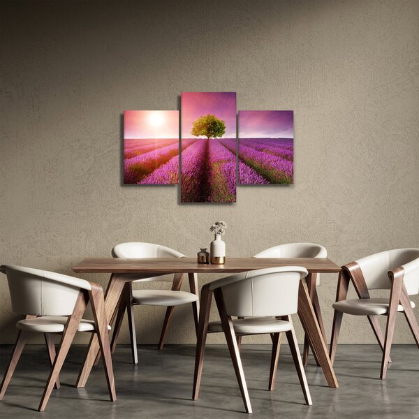 Slika polja s lavandom (90x60 cm)