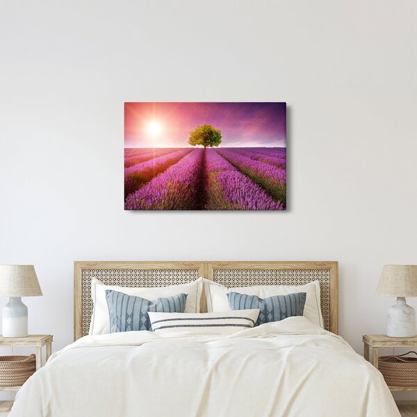 Slika polja s lavandom (90x60 cm)