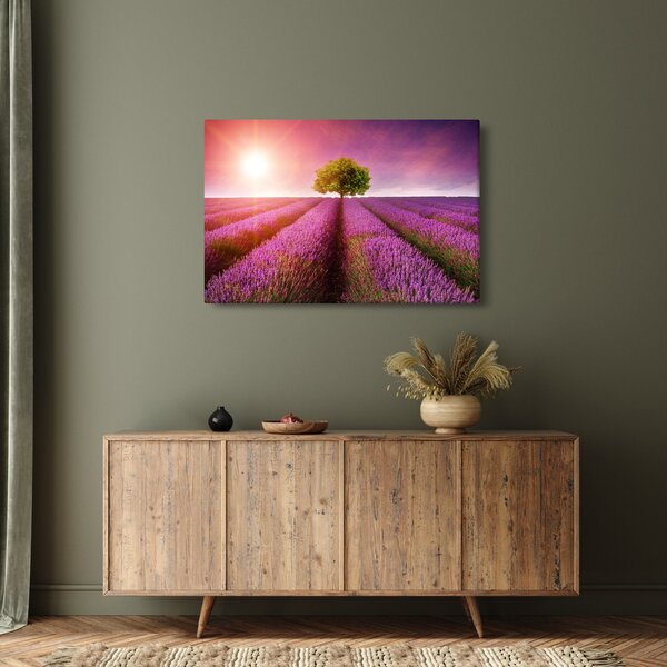 Slika polja s lavandom (90x60 cm)