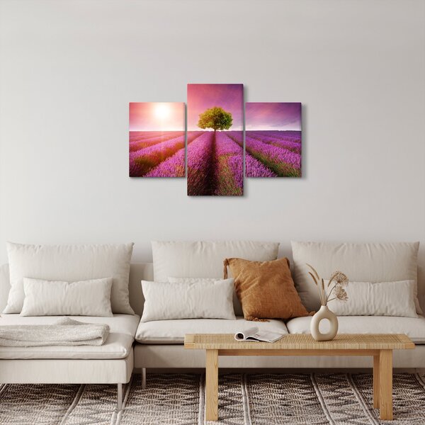 Slika polja s lavandom (90x60 cm)