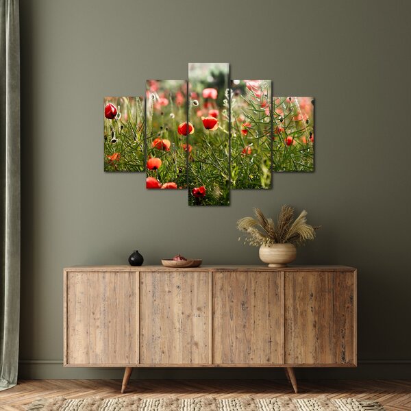 Slika procvalih makova (150x105 cm)