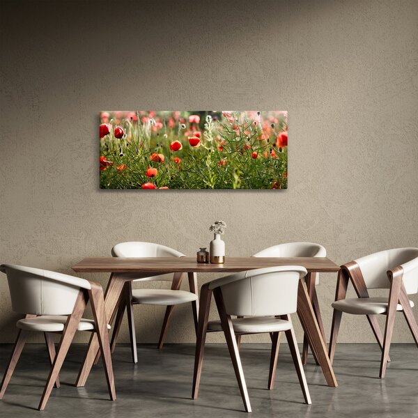Slika procvalih makova (120x50 cm)