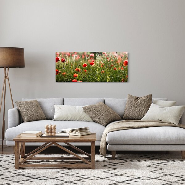 Slika procvalih makova (120x50 cm)