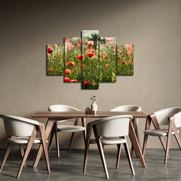 Slika procvalih makova (150x105 cm)