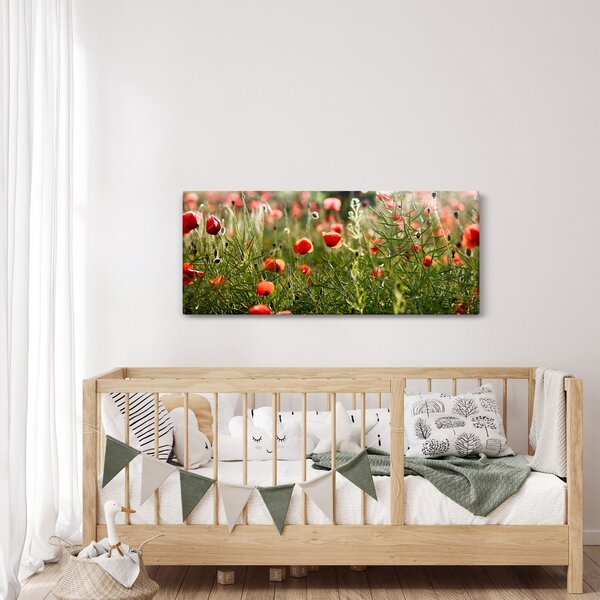Slika procvalih makova (120x50 cm)