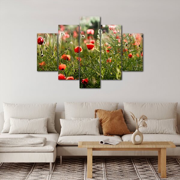Slika procvalih makova (150x105 cm)