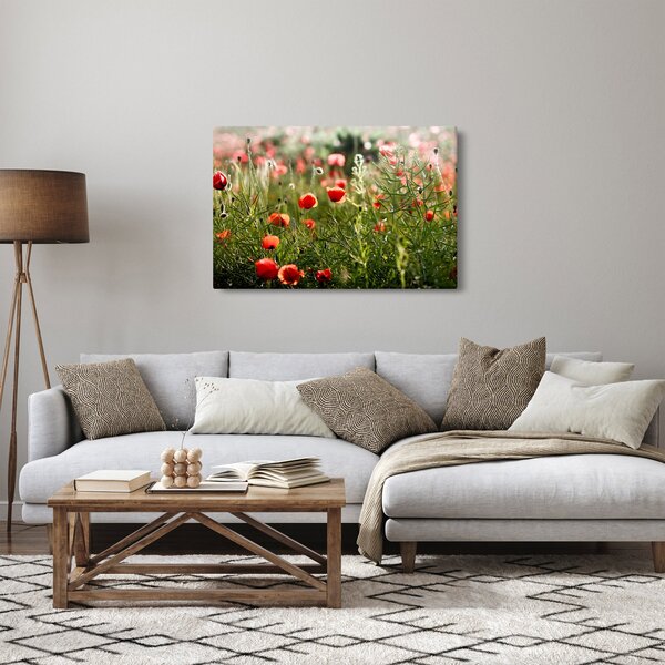 Slika procvalih makova (90x60 cm)