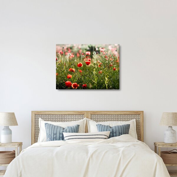 Slika procvalih makova (70x50 cm)