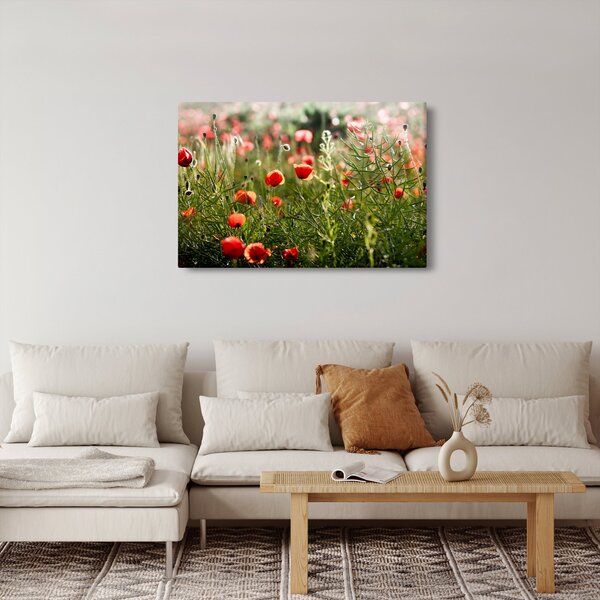 Slika procvalih makova (90x60 cm)
