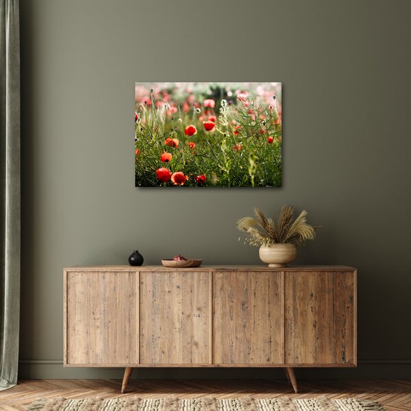 Slika procvalih makova (70x50 cm)