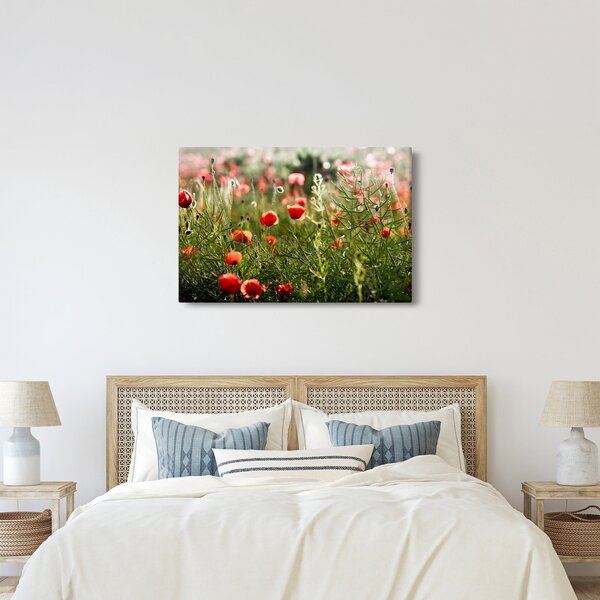 Slika procvalih makova (90x60 cm)