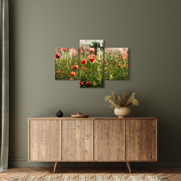 Slika procvalih makova (90x60 cm)