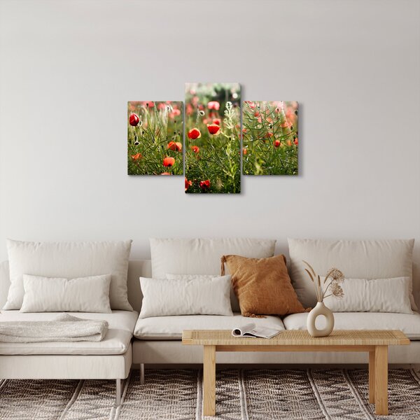 Slika procvalih makova (90x60 cm)