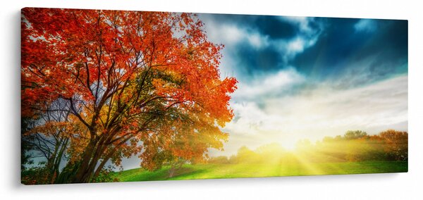 Slika krajolika okupanog sunčevom svjetlošću (120x50 cm)