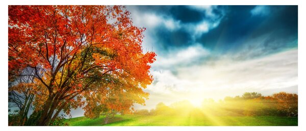 Slika krajolika okupanog sunčevom svjetlošću (120x50 cm)