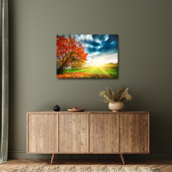 Slika krajolika okupanog sunčevom svjetlošću (70x50 cm)