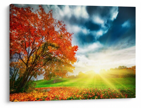 Slika krajolika okupanog sunčevom svjetlošću (70x50 cm)