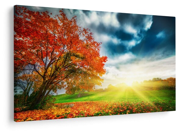 Slika krajolika okupanog sunčevom svjetlošću (90x60 cm)