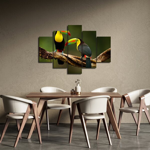Slika tukana koji sjede, Kostarika (150x105 cm)