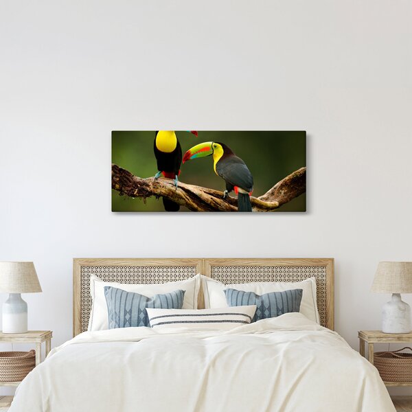 Slika tukana koji sjede, Kostarika (120x50 cm)