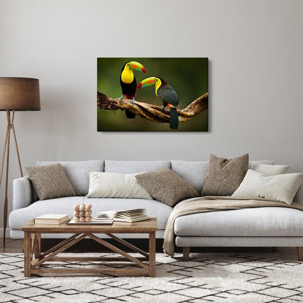 Slika tukana koji sjede, Kostarika (90x60 cm)