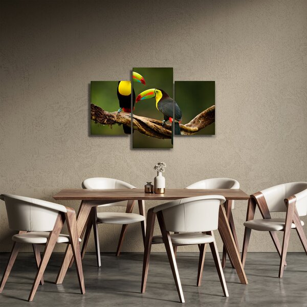 Slika tukana koji sjede, Kostarika (90x60 cm)