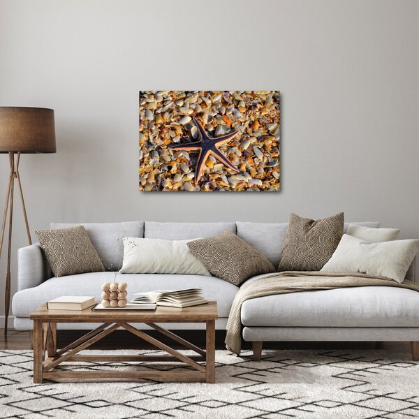 Slika morske zvijezde (70x50 cm)