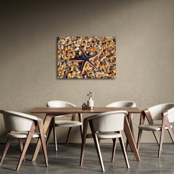Slika morske zvijezde (70x50 cm)