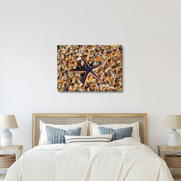 Slika morske zvijezde (70x50 cm)