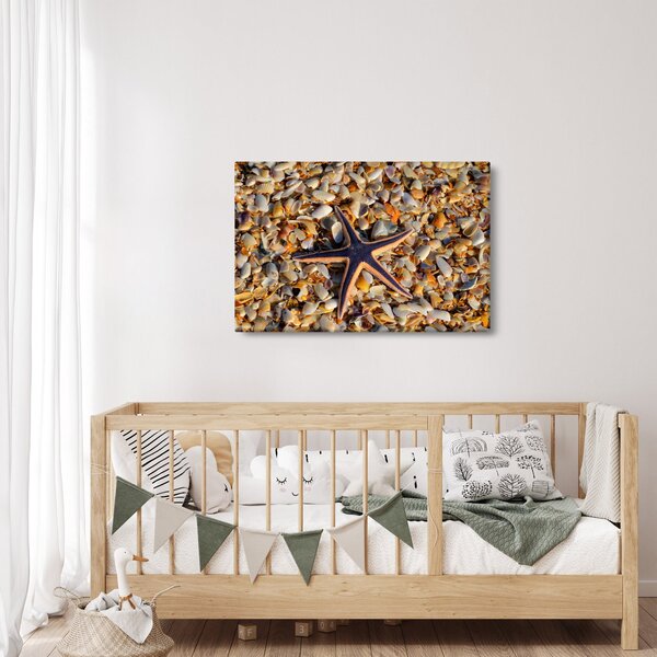 Slika morske zvijezde (90x60 cm)