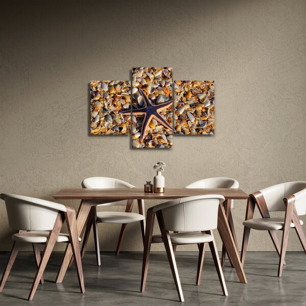 Slika morske zvijezde (90x60 cm)