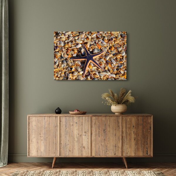 Slika morske zvijezde (90x60 cm)