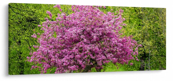 Slika cvjetajućeg stabla na livadi (120x50 cm)