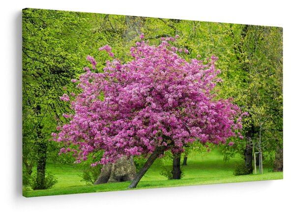 Slika cvjetajućeg stabla na livadi (90x60 cm)