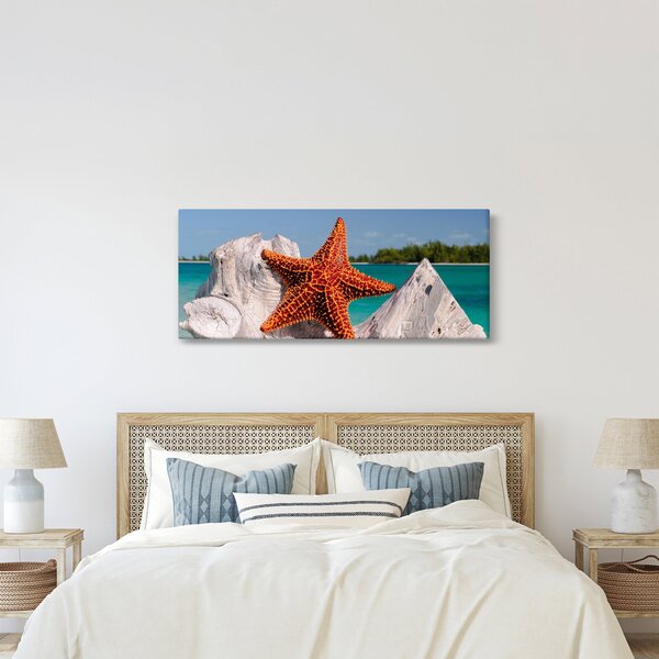 Slika morske zvijezde (120x50 cm)