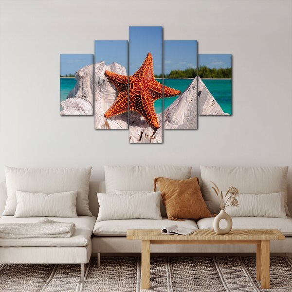 Slika morske zvijezde (150x105 cm)