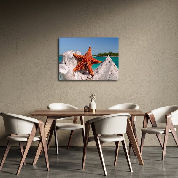 Slika morske zvijezde (70x50 cm)