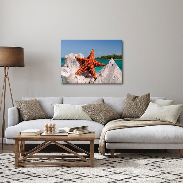 Slika morske zvijezde (70x50 cm)