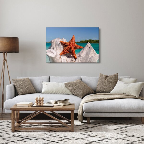 Slika morske zvijezde (90x60 cm)