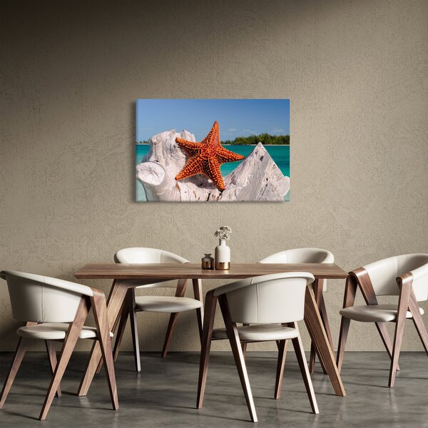 Slika morske zvijezde (90x60 cm)