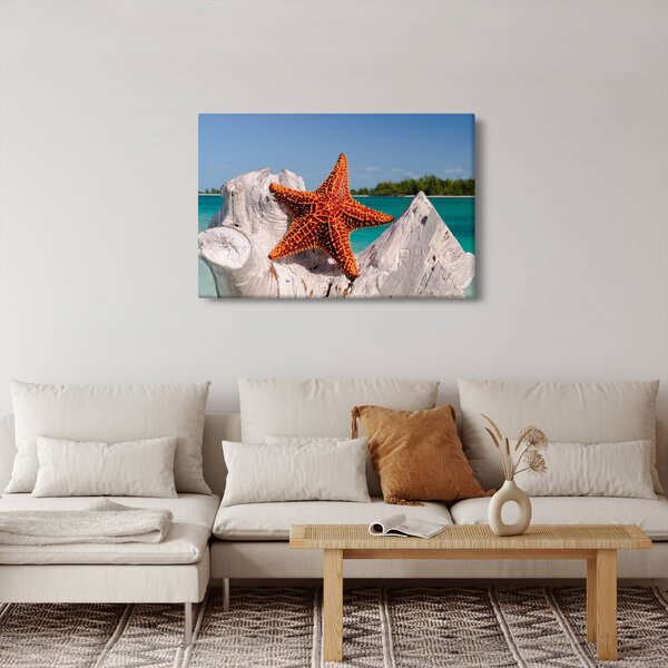 Slika morske zvijezde (90x60 cm)